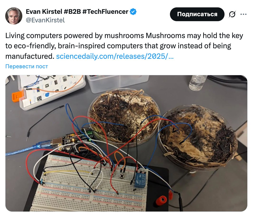 Ученые из США собрали компьютер на грибах они заменили обычные микросхемы Производительность девайса уступает обычным кремниевым чипам Зато исследователи научились имитировать настоящую нейронную систему с помощью грибов это заменило ОЗУ Игровой ПК на грибах пока не собрать Но простой гаджет с мицелием вместо железа уже реальность