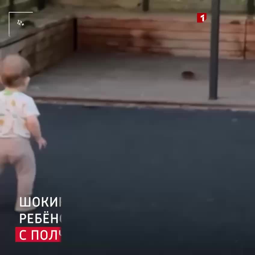 Крысиные нашествия в Волгограде и Красноярске вызывают обеспокоенность жителей