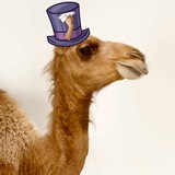 Аватар Телеграм канала: Челябушка