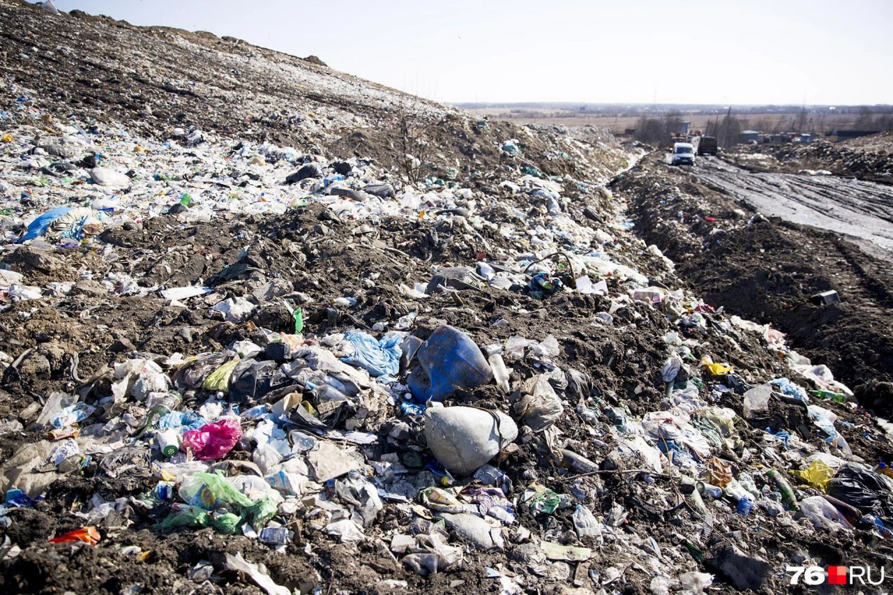 Приморский экологический оператор ПЭО нашел подрядчика для вывоза мусора в Дальнегорском округе На сайте госзакупок было два аукциона один на 36 6 миллиона второй на 16 5 миллиона рублей В обязанности потенциального подрядчика по контракту входит вывоз мусора из строго отведенных для этого мест прописанных в приложенном документе Свозить отходы тоже нужно исключительно к указанным мусорным полигонам В зону работы мусоровозов все населенные пункты входящие в городской округ Всего с двух закупок 1 4 тысячи адресов 11 февраля комиссия подвела итоги и завершила аукцион подрядчики должны начать работать с 1 марта а закончить 31 августа 2026 во втором случае на маршруте выполнять обязанности надо до 31 декабря 2026 Один и тот же это подрядчик или разные неизвестно За тендер в 36 миллионов боролся лишь 1 участник за закупку поменьше двое Подписаться в Telegram    Подписаться в MAX