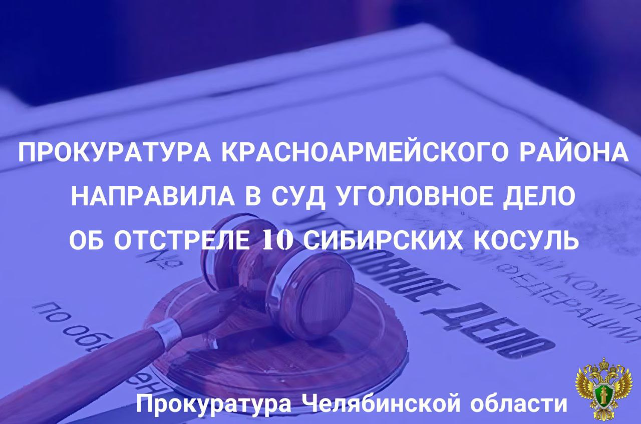 Прокуратура Красноармейского района утвердила обвинительное заключение по  уголовному делу в отношении двух жителей г. Челябинска, которые обвиняются в совершении преступлений, предусмотренных ч. 2 ст. 258 УК РФ  незаконная охота .   По версии следствия, в период с февраля по март 2024 года 40-летний житель г. Челябинска на территории Красноармейского района, не имея соответствующего разрешения, в нарушение установленных сроков охоты произвел отстрел 6 особей косули сибирской. Своими действиями причинил ущерб в сумме 240 тысяч рублей.       Кроме того, в апреле 2024 года обвиняемый со своим приятелем снова прибыл в Красноармейский район, где соучастники произвели отстрел 4 особей косули, вывезли к д. Шибаново для первичной обработки туш, где были задержаны егерями. Установлено, что одна из застреленных косуль вынашивала потомство.  В результате государству причинен ущерб в сумме 1,44 млн рублей.  В ходе следствия обвиняемыми добровольно возмещен ущерб в размере 560 тыс. рублей.  На имущество обвиняемых - автомобиль стоимостью 2,6 млн рублей  наложен арест.   Уголовное дело направлено в Красноармейский районный суд для рассмотрения по существу.