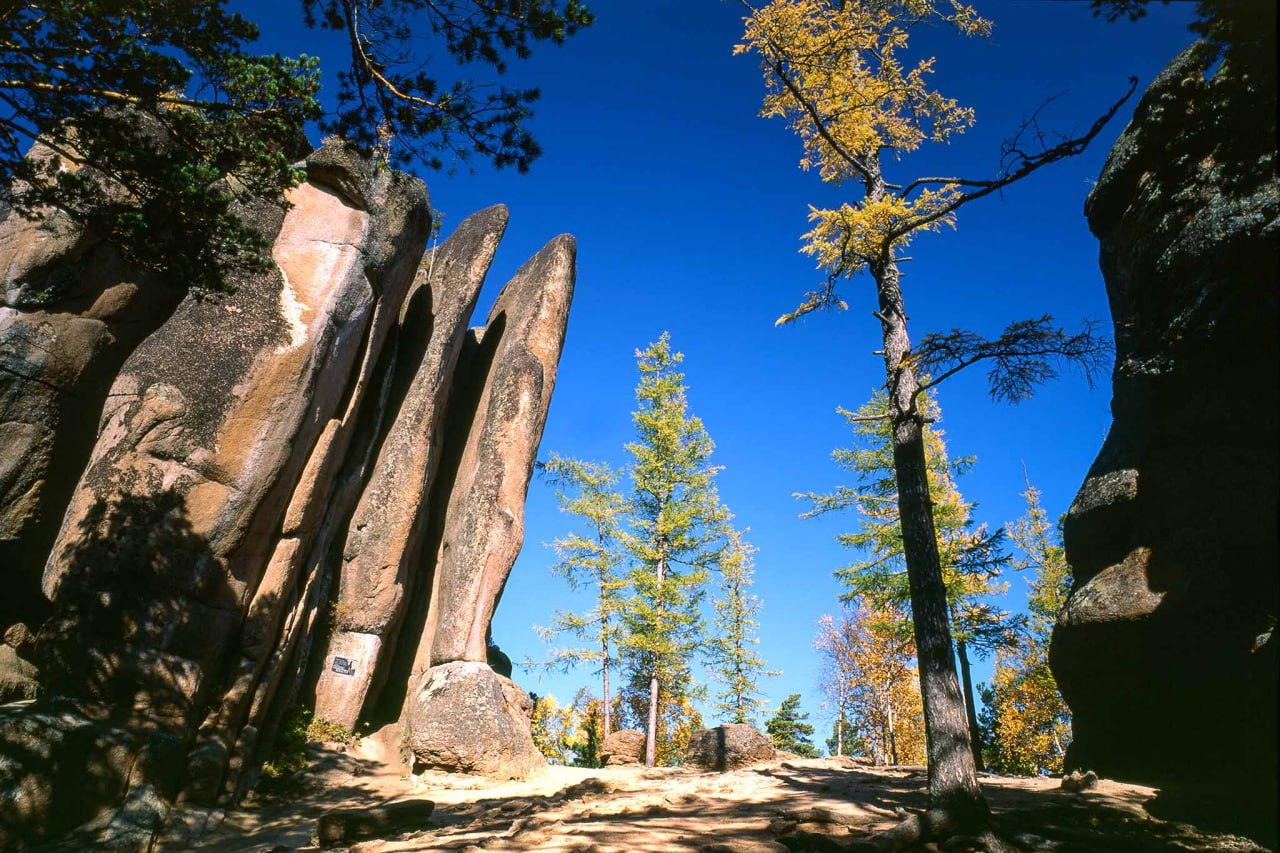 В нацпарке Столбы с 1 февраля вводятся новые правила посещения Теперь доступны только официальные маршруты прошедшие паспортизацию в Минприроды В настоящее время утверждены три маршрута Лалетинский Природа великий скульптор и Легенды Такмака Свободный подъём на скалы включая простые запрещён Доступ к ним разрешён только спортсменам состоящим в Федерации альпинизма или скалолазания для тренировок или соревнований Это связано с изменениями в федеральном законе об особо охраняемых природных территориях Инспекторы нацпарка обязаны следить за соблюдением правил За нарушение предусмотрено предупреждение а затем штраф от 3 до 4 тысяч рублей Оставить обращение   Мы в MAX