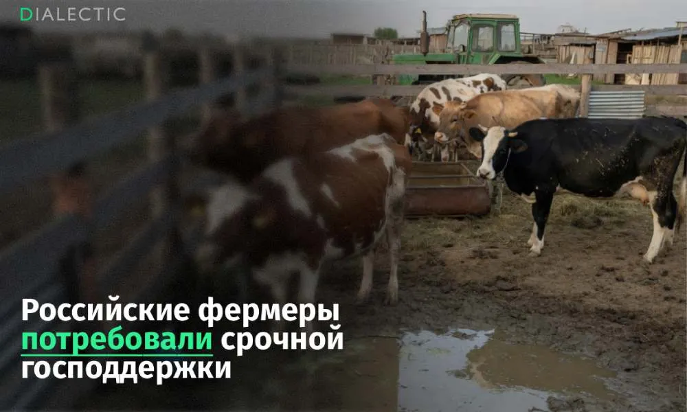 Российские фермеры потребовали господдержки агробизнеса Ассоциация крестьянских хозяйств и сельскохозяйственных кооперативов России АККОР обратилась в правительство с требованием поддержать малый и средний агробизнес Для спасения отрасли аграрии предлагают реализовать масштабный пакет антикризисных мер В частности они настаивают на отмене экспортных пошлин на ряд культур компенсации возросших затрат на топливо и удобрения а также на сохранении льготного кредитования Кроме того представители агробизнеса просят снизить бюрократическое давление освободив их от обязательной маркировки против контрафакта и штрафов в государственных информационных системах Дополнительно ассоциация просит разрешить строительство жилья на сельхозземлях с легализацией существующих построек и ввести мораторий на банкротства для хозяйств в приграничных регионах Напомним что малые и средние хозяйства обрабатывают 64 посевных площадей страны и обеспечивают значительную часть продовольствия В 2025 году на их долю пришлись 58 зерна 72 подсолнечника 81 овощей 83 картофеля 54 молока и 70 мяса Поддержать