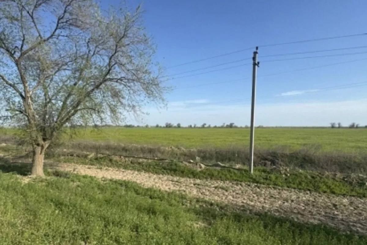 Тело жителя Краснодара нашли на обочине дороги в Ставропольском крае. Утром 19 мая на обочине дороги вблизи аула Тукуй-Мектеб Нефтекумского муниципального округа было обнаружено тело 67-летнего краснодарца с признаками насильственной смерти. Возбуждено уголовное дело. Следователи ищут преступников.