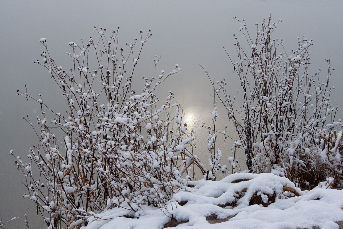 Лютые морозы придут в Калужскую область   kaluganews ru fn 1783629 html В Калужскую область надвигаются сильнейшие морозы Уже сейчас в воскресенье температура в Калуге составляет 13 градусов однако это лишь начало серьёзного похолодания   Прислать новость Подписаться