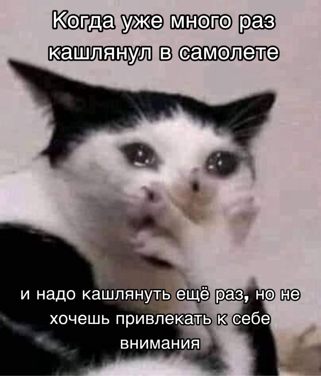 Вежливое сдерживание кашля чуть не оставило россиянку без печени Пытаясь соблюдать этикет в самолете женщина героически сдерживала кашель, чтобы не мешать другим пассажирам. От напряжения и перепадов давления у нее порвались боковые мышцы живота, образовалась огромная гематома, а печень аккуратненько выскользнула в новоиспеченную дырочку между ребрами. Целых 6 месяцев, пока бедняжка не шла к врачам, печень скромно "выглядывала" из-под ребер, а правая сторона живота все росла. Врачи ГКБ им. Юдина, увидев этот "несанкционированный выход", решились провести непростую операцию. Но сначала из-за сложного расположения грыжи пациентке пришлось экстренно похудеть на 10 кг. В итоге, операция прошла успешно, печень - на месте. Главный урок: если уж приперло – не держите в себе! Подписаться