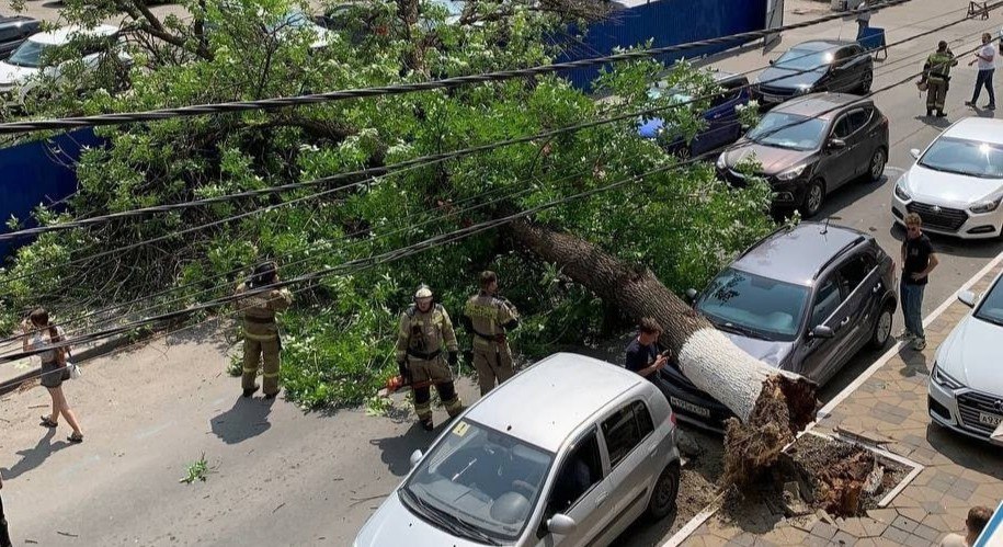 Автомобилистка пострадала при падении дерева на машины в Ростове. ЧП случилось сегодня на улице Суворова. Огромный ствол дерева рухнул на машины и перекрыл дорогу. Как рассказали в пресс-службе ГУ МВД РФ по Ростовской области, удар пришёлся на женщину, которая была за рулём одной из проезжавших в этот момент под деревом машин. - Пострадавшую доставили в медицинское учреждение, её жизни и здоровью ничего не угрожает, - добавили в полиции. Предложи нам новость