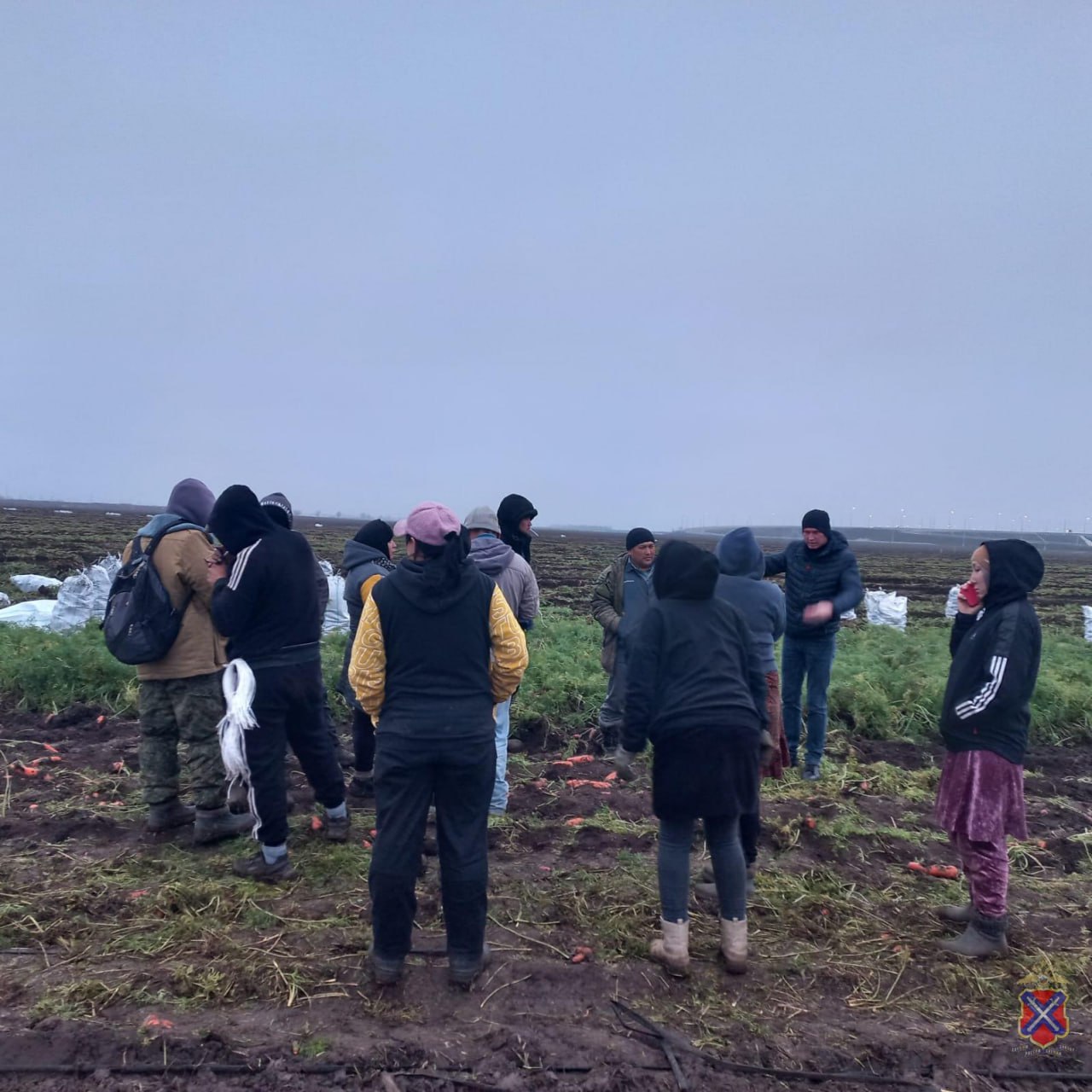 14 мигрантов задержала полиция на сельских полях под Волгоградом Рейд прошел в Городищенском районе 14 иностранцев работали незаконно а 7 из них нарушили режим пребывания в РФ и будут выдворены за пределы страны Сейчас они находятся в Центре временного содержания Составлен 21 административный материал В отношении работодателя проведут проверку Подписаться Перейти на сайт MAX