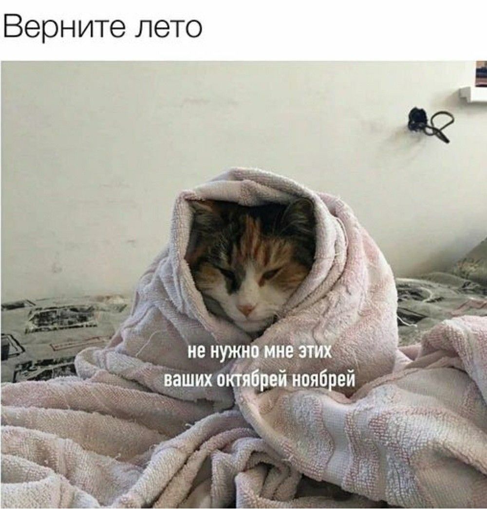 Жара вернётся в Москву в ближайшие дни синоптики Уже в понедельник в столице прогнозируется тёплая погода без осадков