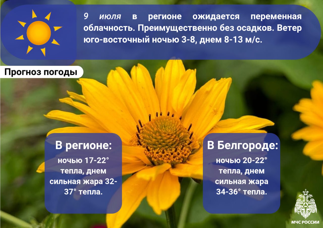 #ПрогнозПогоды Внимание! В регионе ожидается сильная жара до 37˚ В период с 9 по 13 июля на территории области ожидается опасное метеорологическое явление – аномально-жаркая погода. Главное управление МЧС России по Белгородской области обращает внимание на меры безопасности: помни, что во время жары возрастает вероятность пожаров, будь бдителен; носи легкую и светлую одежду из натуральных тканей, надевай головной убор и бери с собой воду; остерегайся прямого попадания солнечных лучей не оставляй детей без присмотра; купайся только на оборудованных пляжах, где дежурят спасатели; не оставляй детей и животных в машине, даже на короткое время; В случае чрезвычайного происшествия звони по телефону - 1 1 2 или 1 0 1 .