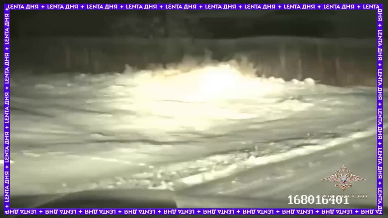 Полицейские спасли новорожденного теленка в Красноярском крае