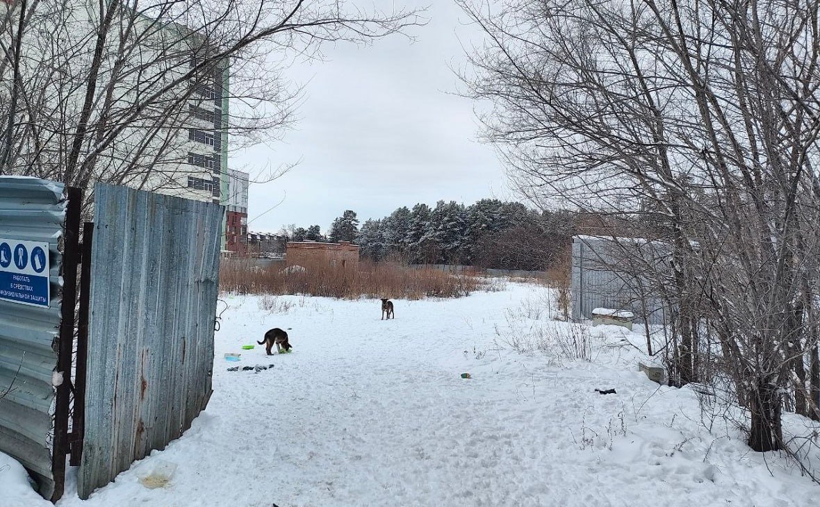 Суд признал незаконной продажу с торгов недостроя у Пятого театра Арбитражный суд Омской области признал незаконными действия департамента имущественных отношений мэрии в части определения начальной продажной стоимости недостроенной гостиницы на Красном Пути Ранее суд изъял объект у компании Современные строительные технологии депутата Заксобрания Дмитрия Павлова которая забросила стройку Но депимущества организовавший торги сильно занизил начальную стоимость недостроя определив ее в размере в 5 млн руб Современные строительные технологии которые должны получить деньги от реализации имущества через суд смогли добиться отмены торгов Теперь чиновники мэрии должны будут пересмотреть начальную стоимость недостроенной гостиницы и только потом вновь выставить объект на продажу РБК Омск в Telegram и MAX