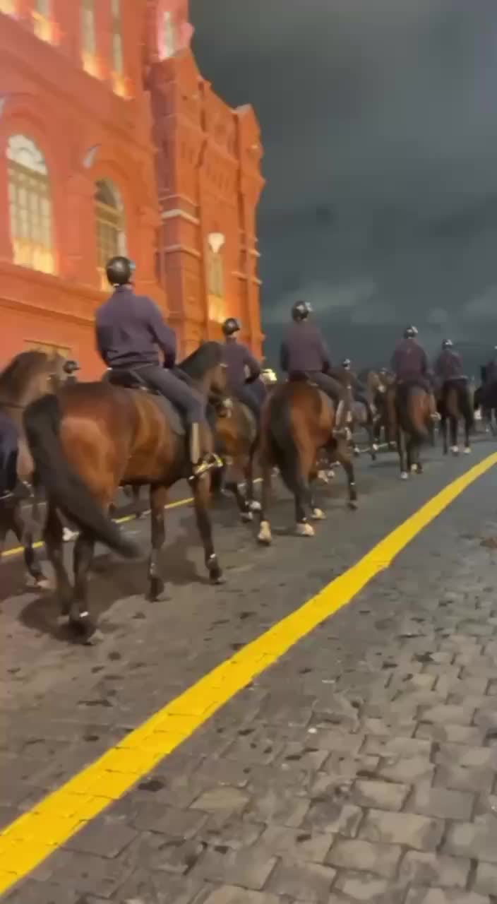 Лошадей из Ленобласти подготовят к Параду Победы в Москве