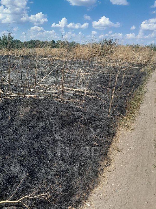 В Выхватинцах сгорели 7 гектаров мусора и сухостоя Крупное возгорание произошло на несанкционированной свалке в селе Выхватинцы. Огонь с мусора перекинулся на соседнее поле с сухой травой. Пожар тушили более трёх часов, работал один расчёт рыбницких спасателей. Общая площадь возгорания — 7 гектаров. Причины — либо преломление солнечных лучей, либо неосторожное обращение с огнём. В последнем случае виновного будут устанавливать.