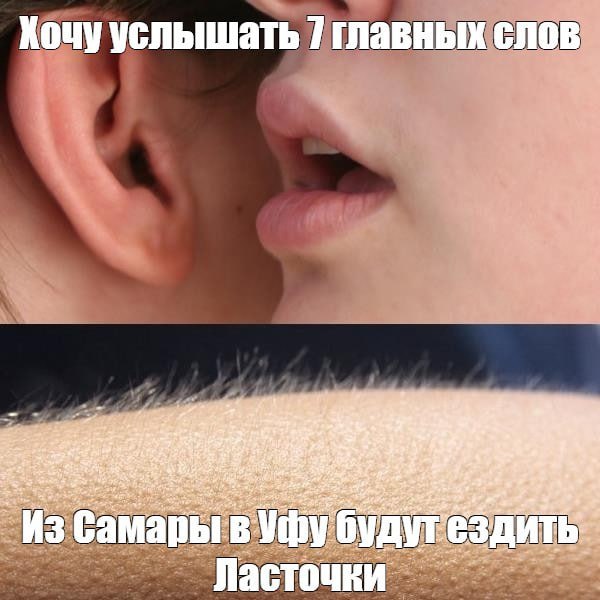 В Уфу будут ездить Ласточки из Самары Поезда могут запустить уже 30 апреля технически всё готово рассказал начальник Куйбышевской железной дороги Вячеслав Дмитриев По словам Дмитриева ходить поезд сможет трижды в неделю по пятницам субботам и воскресеньям Проект главы регионов уже поддержали он проходит конечное согласование ufa1 ru UFA RB Подписаться Прислать новость Подпишитесь на нас в МАХ