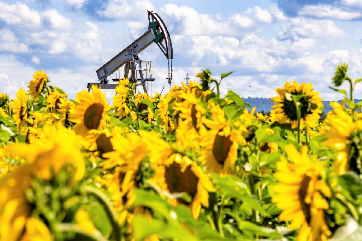 Минэнерго поставило перед нефтянкой нетривиальную задачу Российские нефтяные компании должны удвоить инвестиции в добычу, чтобы в течение ближайших 25 лет поддерживать производство на уровне в 540 млн тонн в год, который заложен в Энергостратегии-2050, заявил директор департамента нефтегазового комплекса Минэнерго РФ Антон Рубцов. К 2050 году отрасли потребуется в 2 раза больше вложений по сравнению с текущим уровнем, добавил он. Без мер поддержки со стороны правительства нефтяники вряд ли сами смогут найти такие средства. Особенно в условиях текущей денежно-кредитной политики и высокой ключевой ставки ЦБ. Рубцов отметил, что государство само должно стать инвестором, чтобы обеспечивать поддержание уровня добычи. "Налоговая нагрузка на нефтяную отрасль сейчас настолько серьезная, что реально сегодня большое количество опций для поддержания добычи нерентабельно. <…> При падении цен даже на сегодняшнем уровне, не говоря уже о краткосрочных возможностях ухода цены ниже, мы столкнемся с очень низкой эффективностью добычи в моменте, а в долгую мы просто не будем инвестировать", — предупредил Рубцов. По его словам, без инвестиций Россия может не достичь цели поддержания добычи нефти на уровне 540 млн тонн. "Что нужно, чтобы мы инвестировали в условиях растущих затрат? Нужно снижать налоговую нагрузку", — сказал он. Рубцов объяснил, что дополнительные инвестиции в нефтянку нужны из-за ухудшения запасов нефти, добыча которых требует все более и более дорогих технологий и решений. Напомним, что вчера министр финансов РФ Антон Силуанов признал, что налоговая нагрузка на нефтяную отрасль сейчас крайне высокая и увеличивать ее еще сильнее — нецелесообразно. Более того, сейчас уровень фискальной нагрузки на нефтяные компании составляет около от 70% до 80% доналоговой прибыли, отмечал глава Минфина. "Ни в коем случае нельзя переборщить, с тем, чтобы финансовые результаты этих компаний были отрицательными. Нам это не нужно и никому не нужно", — отмечал Силуанов.