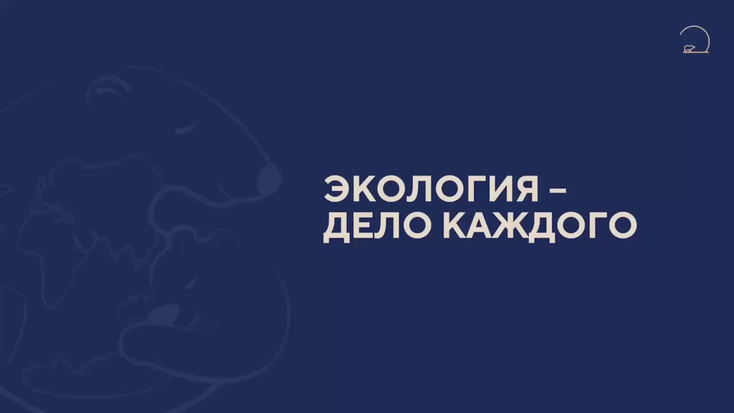 Росприроднадзор выдал 31 разрешение на изъятие краснокнижных морских млекопитающих для реабилитации