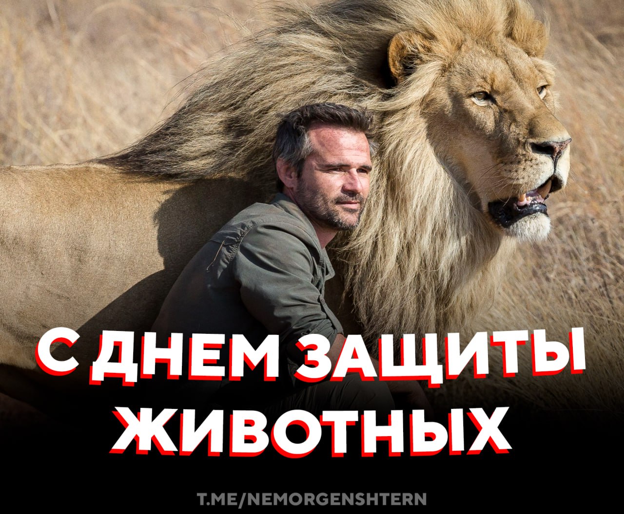 Всемирный день защиты животных Сегодня 4 октября весь мир говорит о тех кто не может сказать сам Этот день напоминает животные не игрушки и не имущество а живые существа которым нужны забота любовь и защита Если можешь помоги приюти накорми поддержи приют или просто не проходи мимо Даже маленькое доброе дело имеет значение   за ответственный подход к братьям меньшим НЕ МОРГЕНШТЕРН