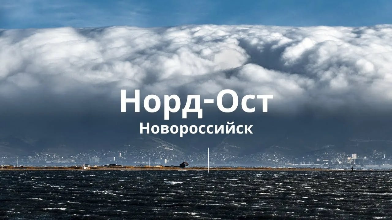 Норд-ост с порывами до 34 м/с и мороз ожидаются с 21 февраля в Новороссийске  МЧС Краснодарского края объявило штормовое предупреждение об усиление ветра к концу недели на участке Черноморского побережья от Новороссийска до Геленджика.  По данным метеорологов, вечером и до конца суток 21 февраля, весь день 22 февраля, ночью и утром 23 февраля местами на участке Новороссийск-Геленджик ожидается северо-восточный, северный ветер с порывами до 30-34 м /с. Температура воздуха опустится до -5…-9°С.  Кубань 24