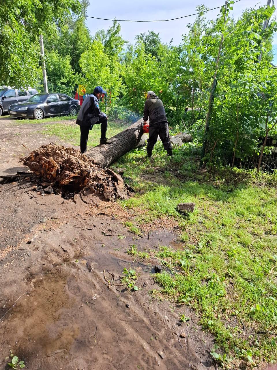 В Казани устраняют последствия вчерашней непогоды Судя по кадрам, сильный ветер валил даже крупные деревья. Подписаться на «Вечерку»