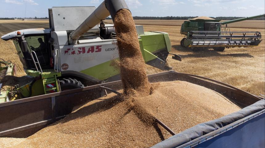 Оператором зерновой биржи БРИКС может стать компания из ОАЭ  Такое предложение направила Россия партнерам по БРИКС При этом сама биржа может быть создана как нейтральная технологическая платформа в которой будут участвовать локальные биржи стран БРИКС О вероятности такого сценария мы писали ранее Россия предложила сделать оператором зерновой биржи БРИКС Дубайский многопрофильный товарно сырьевой центр расположенный в ОАЭ Это крупнейшая в регионе свободная экономическая зона которая оказывает услуги физлицам по поддержкие биржевой торговли товарами и сельхозсырьем У центра есть собственная экосистема криптовалют и блокчейна вероятно это стало одним из аргументов в пользу выбора этой площадки ОАЭ ответ пока никак не отреагировали на предложение Министр экономики страны Абдулла бен Тук Аль Мари поручил проработать этот вопрос  По информации источников Агрономики если ОАЭ не примет предложение российских властей в качестве альтернативной площадки может быть выбрана Саудовская Аравия Но в этом случае могут возникнуть формальные сложности несмотря на то что эта страна была приглашена в БРИКС в 2023 году и указана в качестве члена на официальном сайте БРИКС к октябрю 2025 года она так и не подтвердила полное присоединение к объединению   Агрономика