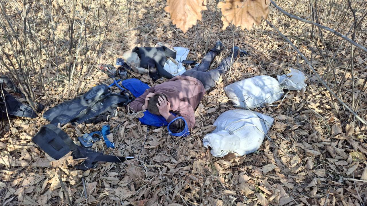 Браконьеров на конях поймали с поличным в Морском заповеднике Двое нарушителей верхом на лошадях пробрались к Дальневосточному морскому заповеднику за трепангом. Они рассчитывали на скрытность, но были задержаны государственными инспекторами «Земли леопарда». При себе у браконьеров — водолазное снаряжение и два мешка трепанга — более 900 особей. В результате нарушители получили два года условного срока и выплатят более миллиона рублей штрафа. Приговор вынес Хасанский районный суд Приморского края. Злоумышленников выследили с помощью тепловизора. Лошади были спрятаны в лесу. Браконьеры пытались бежать, но были оперативно задержаны на берегу. Всё зафиксировано на видео. Всё снаряжение конфисковано. Трепанги возвращены в море. «Земля леопарда»