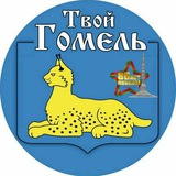 Аватар Телеграм канала: Твой Гомель