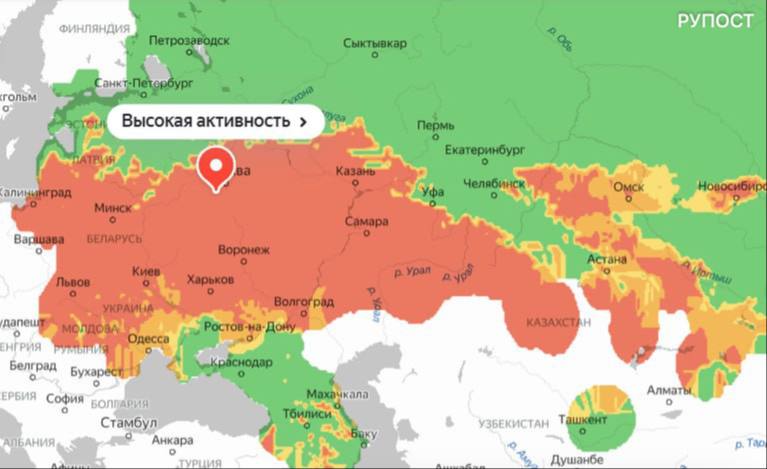 В ближайшие дни сезонная аллергия на пыльцу усилится Если симптомы сильные, врачи советуют по возможности избегать прогулок в пик цветения, проветривать квартиру только после дождя и использовать антигистаминные препараты по рекомендации специалиста. По прогнозам к концу недели концентрация аллергенов снизится, и дышать станет легче. РУПОСТ подписаться