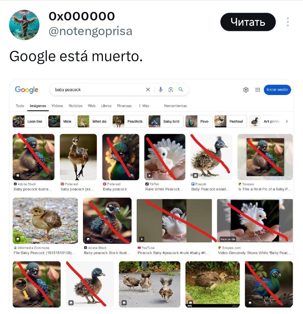 Google поиск — всё, несите новый. В X/Twitter вирусится ситуация: если загуглить «павлиненок», то почти все картинки в выдаче сделаны ИИ.  В том же DuckDuckGo таких картинок всего две. Твиттерские паникуют, потому что это убьёт оригинальное творчество, если плошадки не будут следить за ИИ-маркировкой.