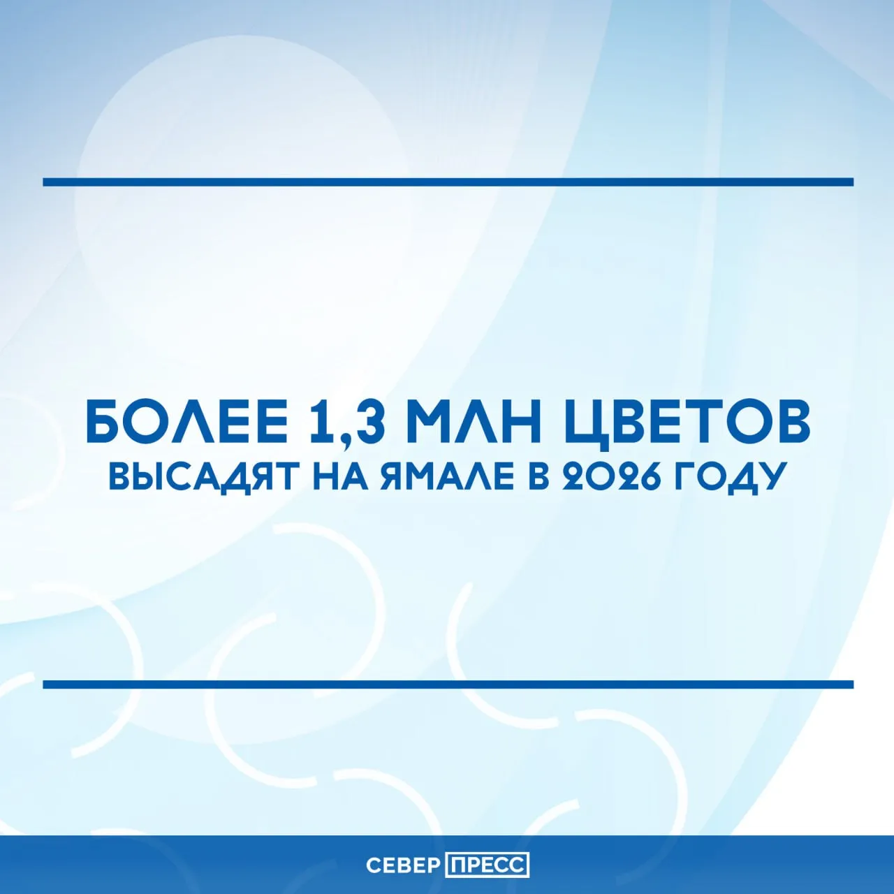 Масштабные работы по благоустройству и озеленению охватят все муниципалитеты региона Посадка цветочных культур запланирована на июнь июль 11 тысяч деревьев и более 200 тысяч кустарников с июня по сентябрь Лидером по объему работ станет Надымский район где запланирована посадка 241 тысячи цветов и более 8 тысяч деревьев Улицы Салехарда украсят свыше 180 тысяч цветов В Новом Уренгое подготовят 200 тысяч саженцев В Ноябрьске высадят более 105 тысяч цветов В Муравленко и Губкинском около 91 тысячи цветов и 170 тысяч соответственно Север Пресс в MAX