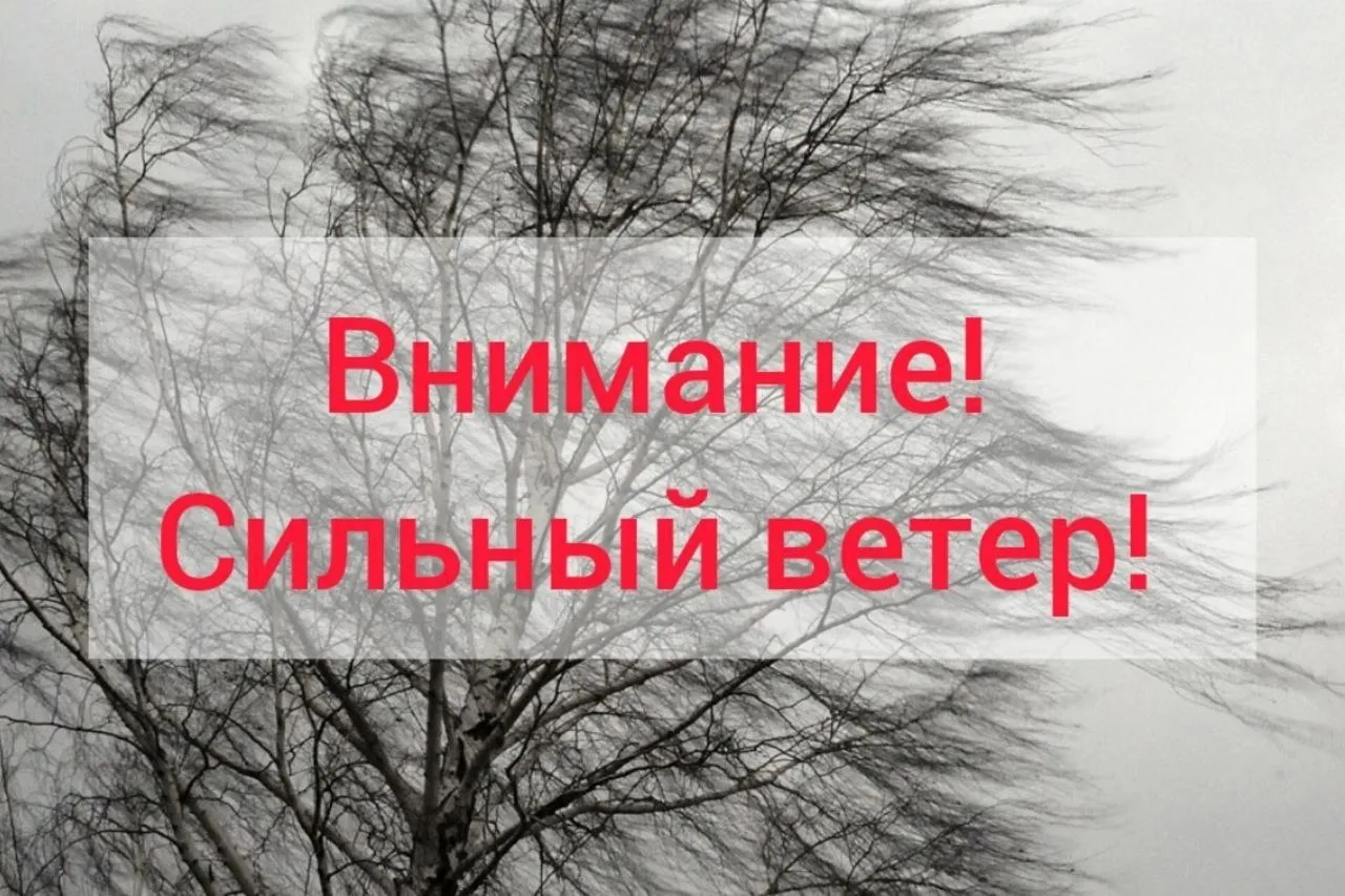 Внимание сильный ветер 7 апреля днём ожидается усиление северо западного ветра Порывы до 15 метров в секунду Будьте осторожны и берегите себя