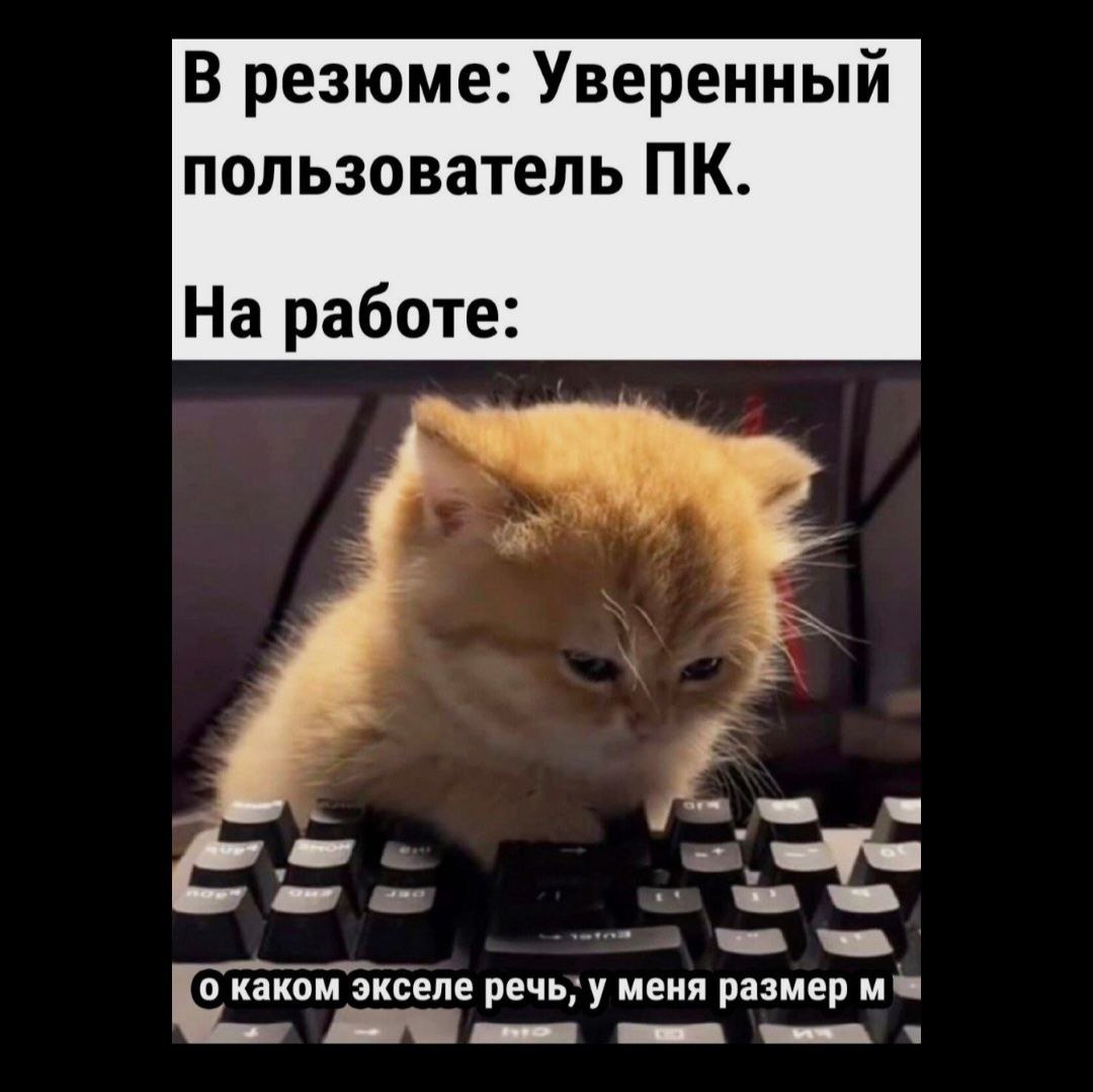 Более половины соискателей врут в резюме 65 российских компаний ловили на этом своих кандидатов Чаще всего приукрашивают IT специалисты топ менеджеры и продажники Врут про опыт навыки иностранные языки и пройденные курсы Обычно обман вскрывается уже на собеседовании или в первые недели работы 8 из 10 работодателей теперь делают бэкграунд чек дипломы рекомендации с предыдущих мест работы и даже соцсети так что шансы сильно приукрасить и проскочить минимальны ШЭР Подписаться