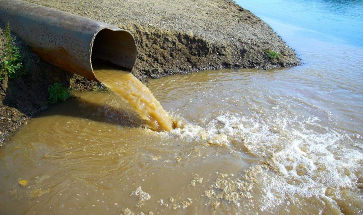 Дон в опасности: Данковский водоканал по суду заплатит 2 миллиона за тайный сброс в реку Во время внеплановой проверки экологи обнаружили, что водоканал потихоньку сбрасывал в Дон сточные воды, в которых опасных веществ было больше, чем позволяют нормы. ↗ Прислать новость Подписаться