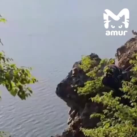 Спасатели провели контролируемый обвал опасного валуна на набережной Петропавловска