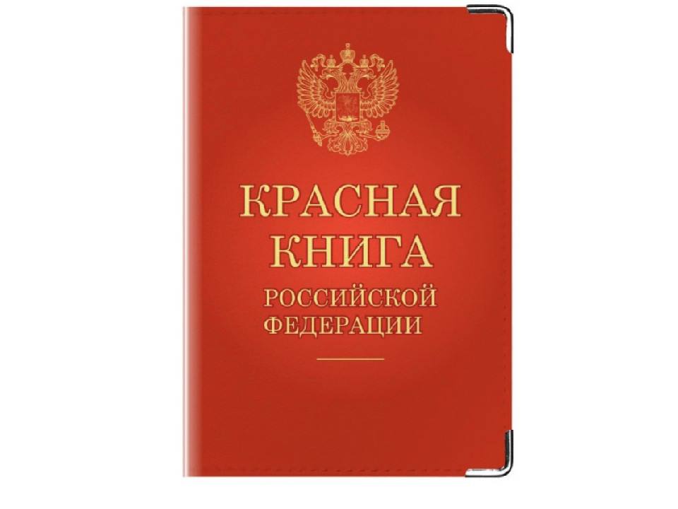 Штрафы по полмиллиона заплатят жители Забайкалья за незаконную рыбалку Вылов краснокнижного тайменя обернулся крупными штрафами для двух жителей села Дульдурга. Суд оставил без удовлетворения жалобы адвокатов. Подробнее читайте ЗДЕСЬ ZAB.RU