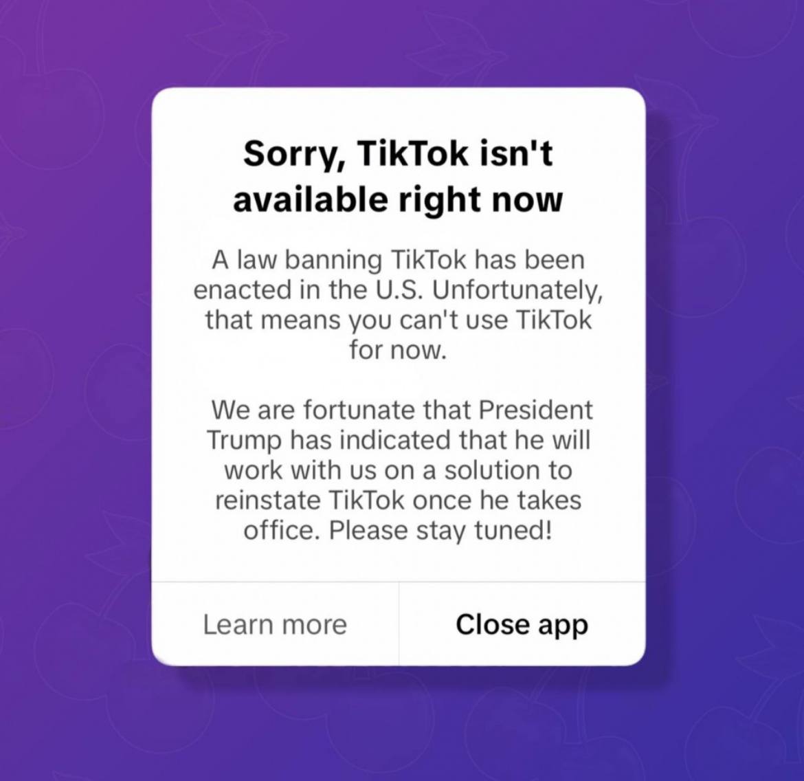 19 января в США вступил в силу закон о запрете соцсети TikTok.