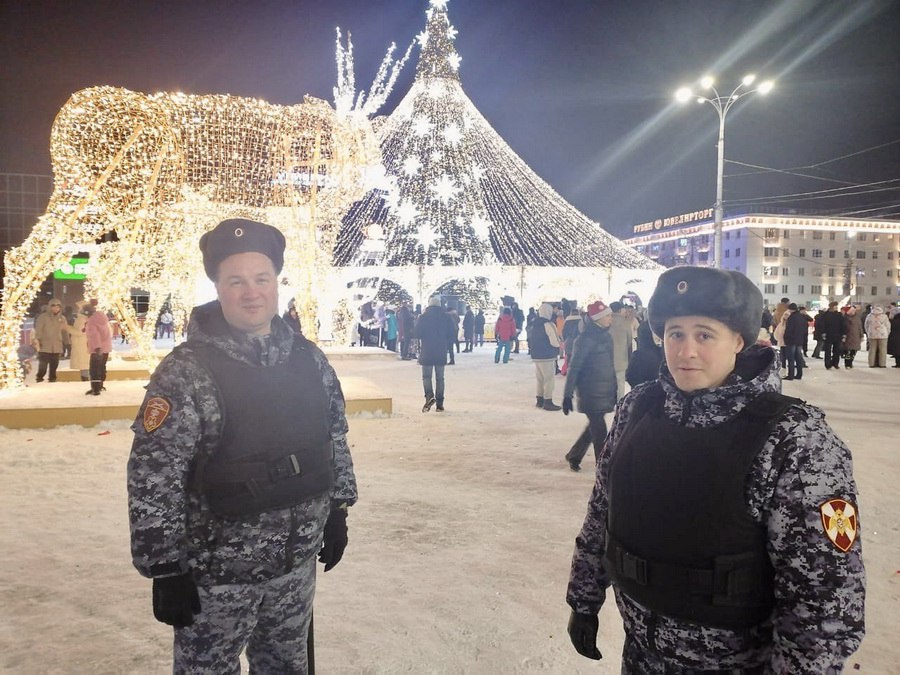 Новогодняя ночь в Мурманской области прошла спокойно  Общественный порядок и безопасность обеспечивали полиция и росгвардейцы.