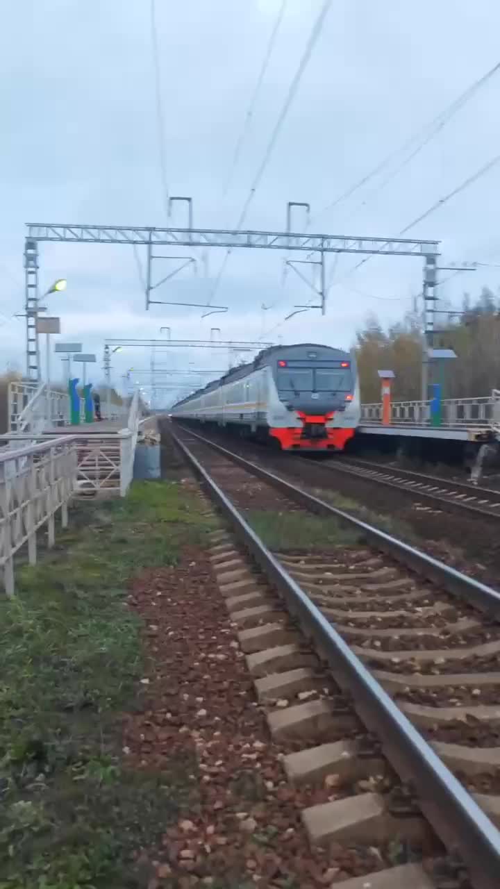 Временно приостановлено движение поездов на участке Дрезна-Крутое из-за подозрительного объекта