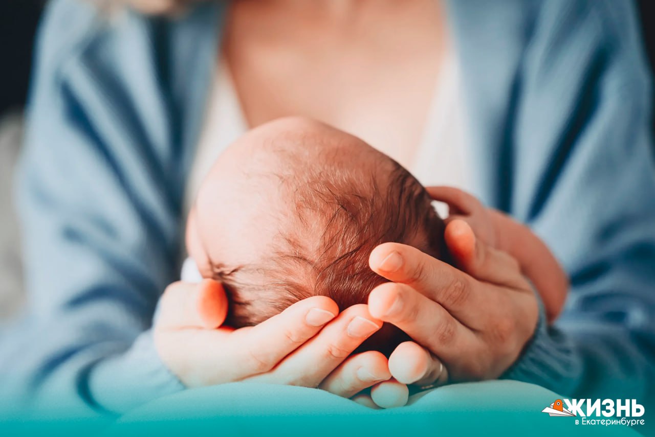 В Свердловской области теперь можно бесплатно пройти неинвазивное пренатальное тестирование НИПТ анализ который с точностью до 99 9 показывает наличие аномалий в развитии ребёнка ещё на ранних сроках беременности Регион стал одним из первых в России где такую диагностику полностью оплачивает областной бюджет Этот тест помогает родителям узнать о возможных рисках без вреда для малыша и принять важные решения вместе с врачами Отличные новости Подписаться на Жизнь в Екб   Канал в MAX