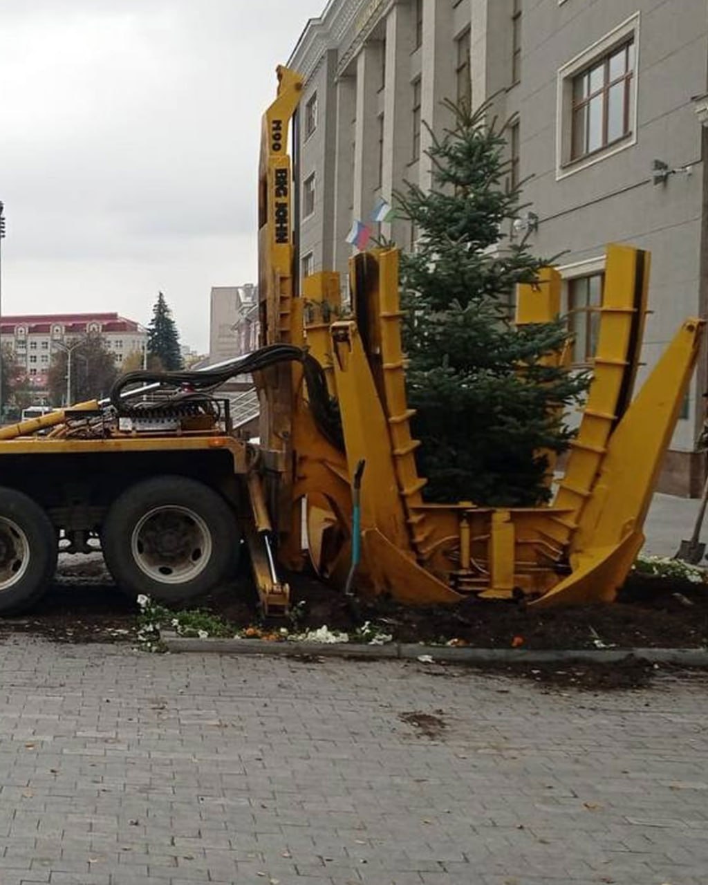 На Советской площади взамен снесенных высохших деревьев высадили молодые ели. Деревья приехали из питомника Горзеленхоза.