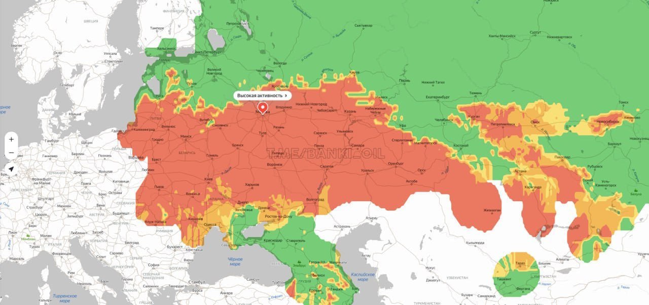 Тяжёлые дни для аллергиков начались в Центральной России. В ближайшие несколько суток в воздухе появится огромное количество пыльцы из-за цветения берёзы и ольхи.