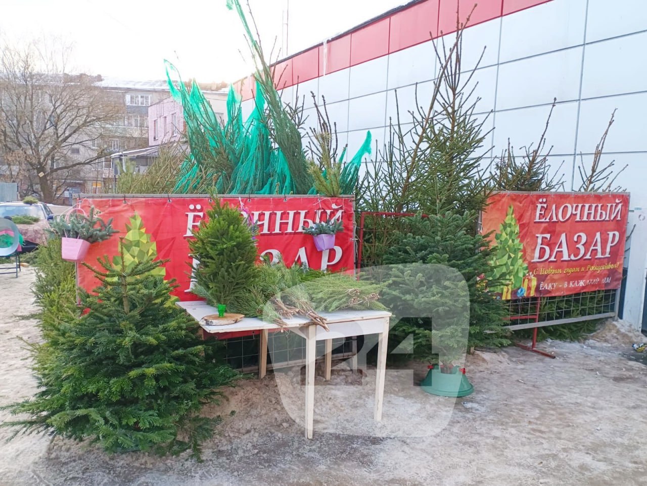 В Калуге выставили на торги 36 площадок под елочные базары На электронной площадке Сбер АСТ начался прием заявок на участие в аукционе на право заключения договоров на размещение елочных базаров на муниципальной земле На торги выставлено 36 площадок в разных районах города Площадь каждой десять квадратных метров Стоимость аренды начинается от 1560 рублей Столько управление экономики и имущественных отношений Калуги просит за аренду площадок в поселках Мстихино Грабцево и Куровском Потолок 6240 рублей Это цена аренды в центре города Все эти елочные базары начнут работать 20 декабря Если конечно найдутся желающие взять площадки в аренду В прошлом году спрос на них был очень умеренный Предпринимателей заинтересовали лишь семь из 35 площадок выставленных на торги Елки и сосны также продавали на семи муниципальных ярмарках