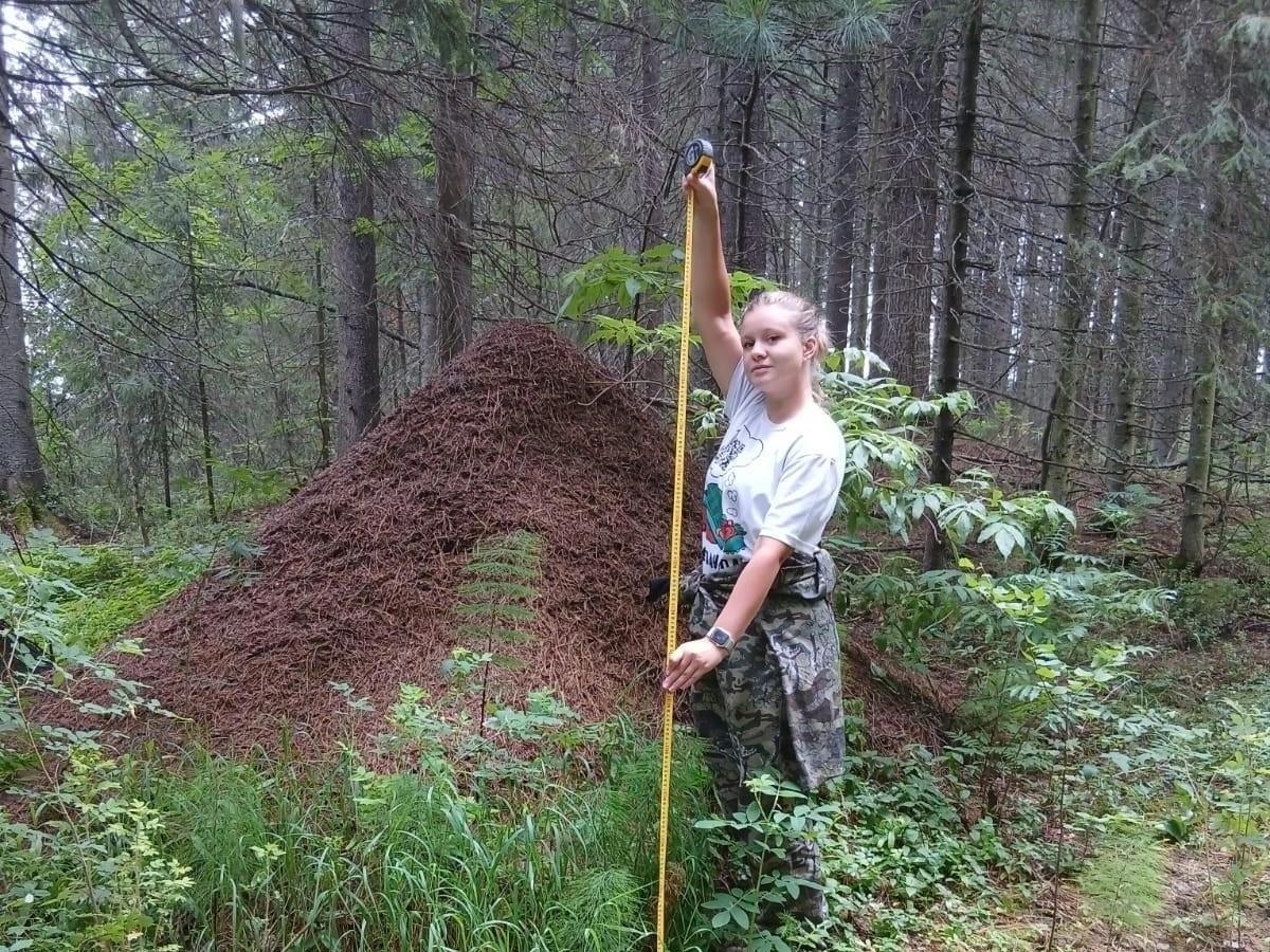 Муравейник в ХМАО попал в Книгу рекордов России Самый гигантский городской муравейник страны нашли в природном парке «Самаровский чугас» в Ханты-Мансийске. Его высота — 1,96 метра, а длина — более 4 метров. Чтобы сохранить уникальный природный объект, сотрудники парка сделали ограждение и объявили об усилении мер по охране Фото: Природный парк «Самаровский чугас»