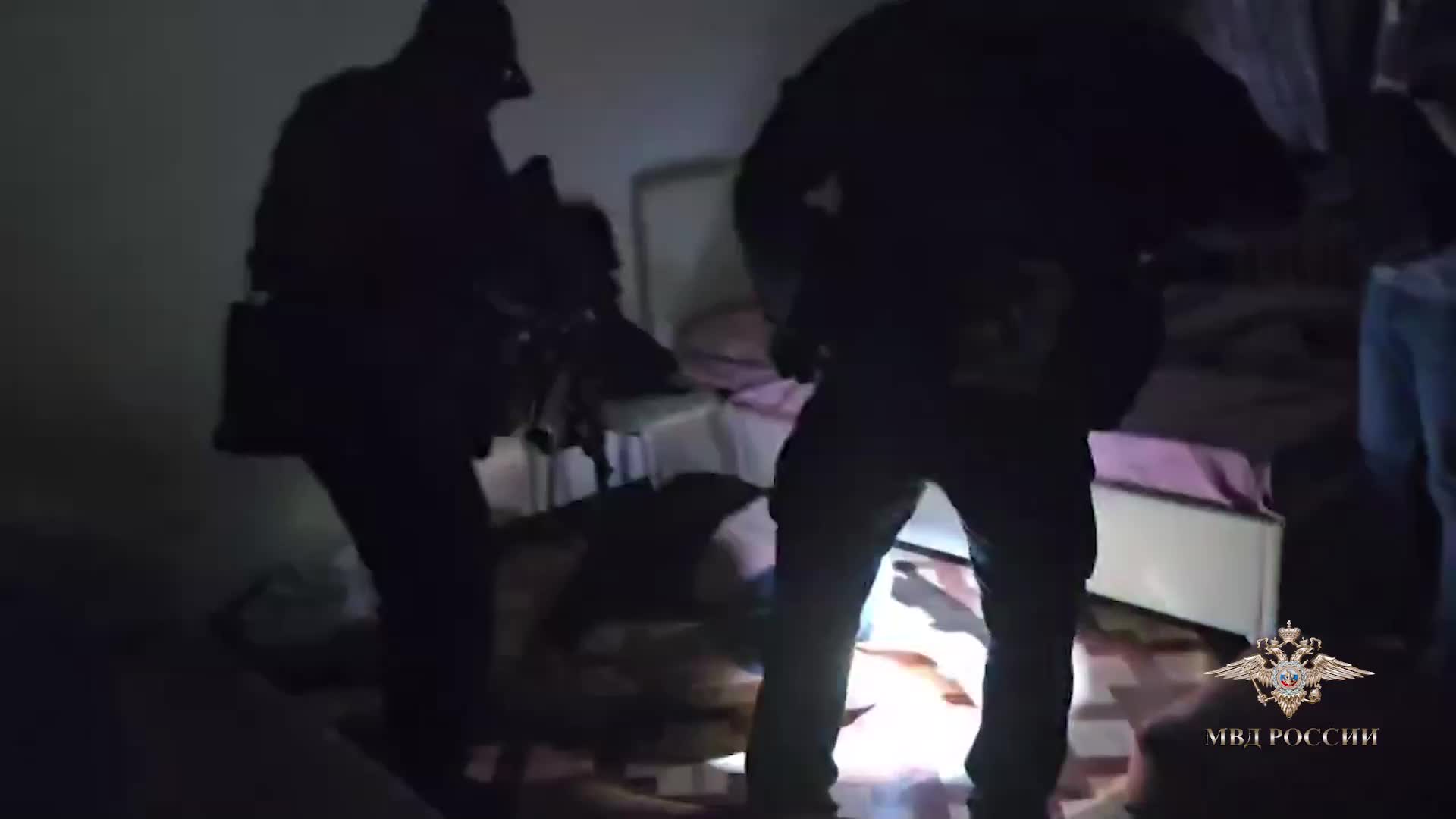 Задержаны семь участников преступного сообщества, организовавших наркомаркетплейс в даркнете
