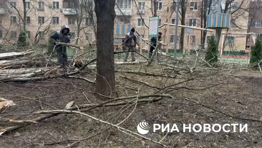 Плановая обрезка деревьев в микрорайоне от МУП «Жилмассив»