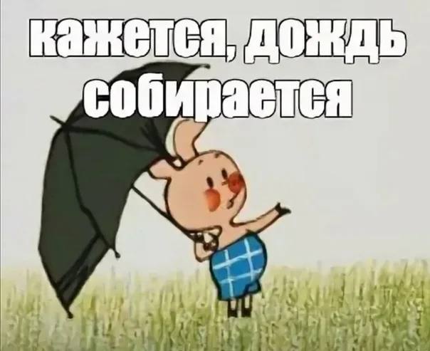 Вильфанд предупредил о сильном дожде в Краснодарском крае.   1 октября в Краснодарском крае пройдет сильный дождь. При этом будет ветрено – до 18 м/с.  Вместе с дождями в регионе начнется похолодание. Так, дневные температуры местами упадут до 15 градусов, в предгорных районах прогнозируется +23 градуса.