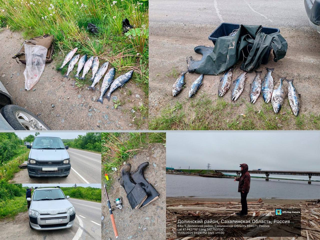 Два автомобиля со свежей симой попались полицейским во время рейда в Стародубском Двоих сахалинцев подозревают в незаконной добыче водных биологических ресурсов. В отношении мужчин 1960 и 1964 года рождения возбудили уголовные дела, сообщили в региональном УМВД. В ходе планового рейда 11 июня этого года на автодороге в районе Стародубского сотрудники полиции с разницей в 15 минут остановили два автомобиля. У каждого из них в салоне иномарки нашли орудия лова и свежевыловленную симу - 8 экземпляров. Выяснилось, что ранним утром 11 июня гражданин 1964 года рождения наловил рыбу удочкой, а мужчина 1960 года рождения - при помощи ставной сети. Лицензий на добычу у рыбаков не было. Общий ущерб составил 82 048 рублей. Пока уголовные дела по ч. 1 ст. 256 УК РФ расследуются, с граждан взяли обязательство о явке.