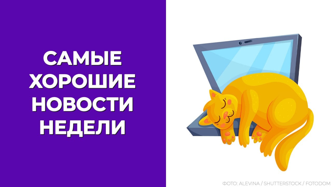 Свет в конце недели   5 хороших новостей на БУХ.1С и ноль — плохих!    В Госдуму поступили поправки в статью 107 ТК РФ, которые предлагают исключить из времени отдыха определенные виды отпусков. Поправки предусматривают, что к времени отдыха относятся только отпуска, предусмотренные главой 19 ТК РФ. Речь идет о ежегодном оплачиваемом отпуске  основном и дополнительном , а также об отпуске без сохранения заработной платы.    Правительство РФ решило продлить на 2025 год возможность временного перевода в другие организации работников предприятий, которые приостановили свою деятельность.    Также власти решили продлить на 2025 год возможность упрощенного получения и переоформления отдельных видов лицензий и разрешений.    Минфин сообщил, что самозанятые не будут представлять статистическую отчетность.    А еще на этой неделе БУХ.1С объявил победителей новогодних розыгрышей!  БУХ.1С