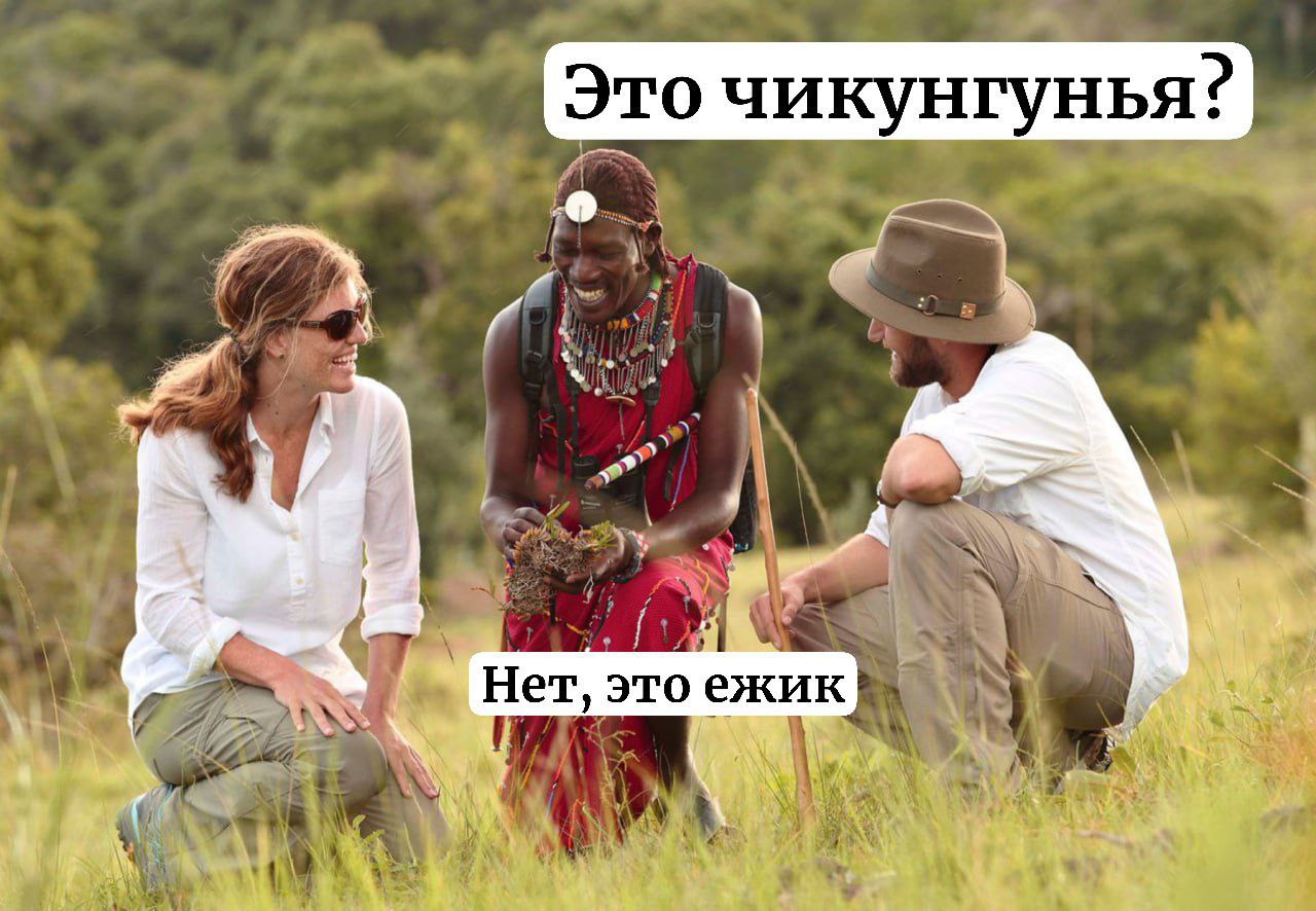 Осторожнее в Африке Лихорадка чикунгунья имеет значительный потенциал для распространения сообщает ВОЗ Более 445 тыс подтвержденных и предполагаемых случаев заболевания лихорадкой чикунгунья зарегистрировали в мире с начала 2025 года 155 человек умерли  Заразиться лихорадкой чикунгунья могут только туристы в Африке в России вспышка невозможна заявил Радиоточке НСН доктор медицинских наук специалист по особо опасным инфекциям Владислав Жемчугов Россиянам не стоит бояться туристы могут заехать зараженные в инкубационном периоде но они не могут никому его передать Он передается только через комаров а комаров таких у нас нет они не выдерживают нашу зону Поэтому следует опасаться только туристам которые едут в экваториальные страны Таких лихорадок десятки минимум 30 активных вирусов В хороших отелях стоят электронные отпугиватели от комаров Я всегда советую своим пациентам брать специальные средства от комаров никто не заразился В номере всегда должен быть включен в розетку отпугиватель Вечером на кожу тоже мажем В Африке это тоже работает ничего страшного но нужно принимать меры защиты рассказал он