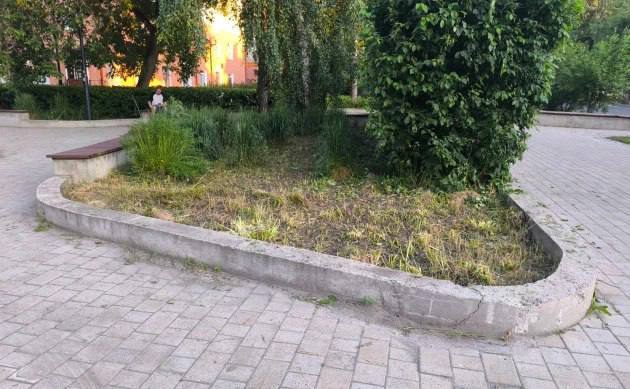 Рабочие скосили цветник в томском «Саду ветра», перепутав его с газоном Фото: ДТП ЧП Томск Подписаться Прислать нам новостью